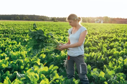agricole d'Europe